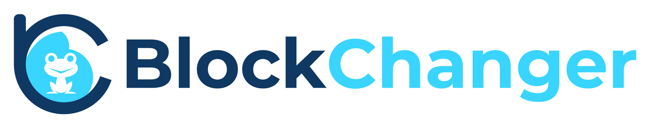 BlockChanger logo