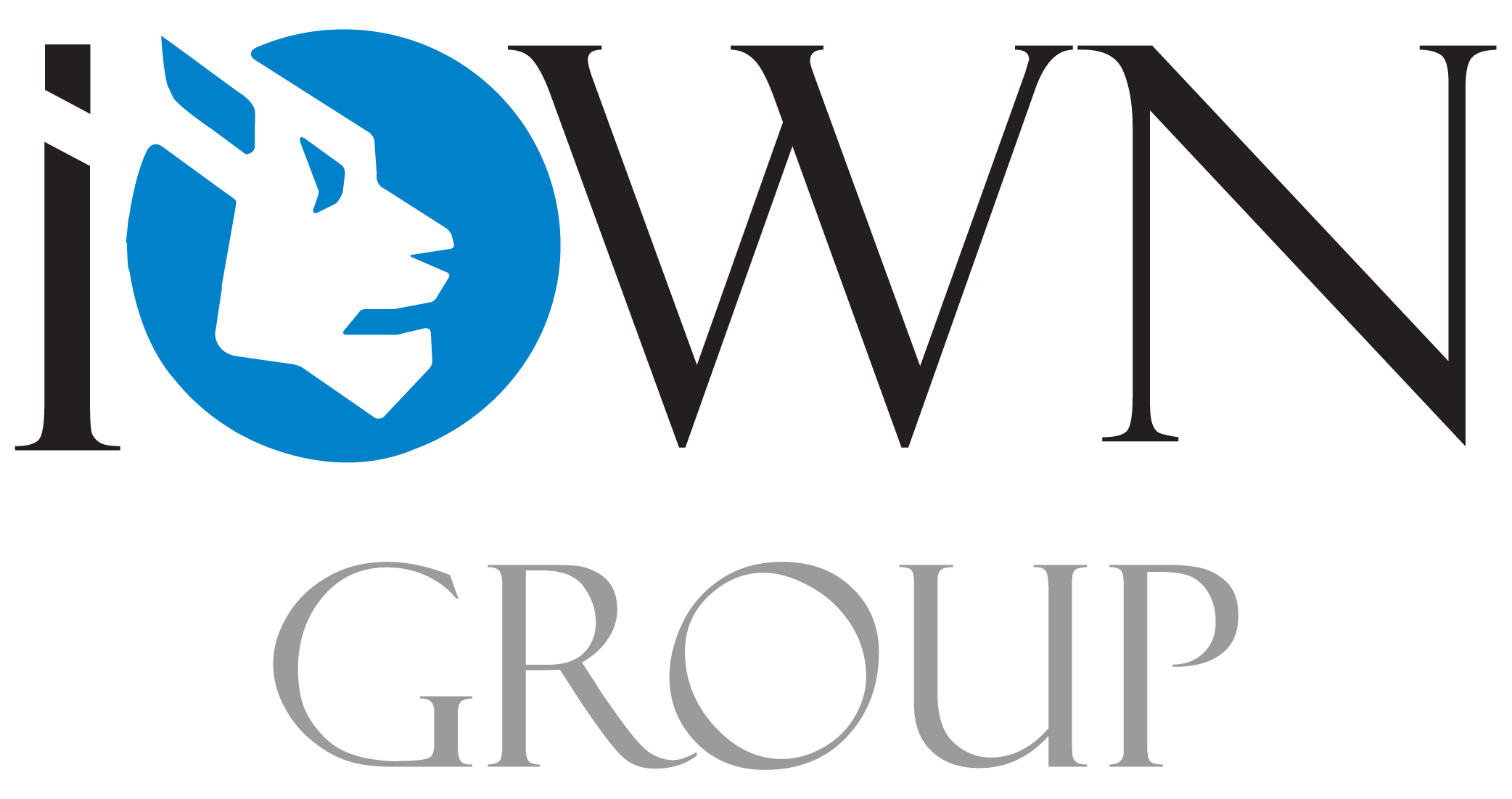 iOWN Group logo