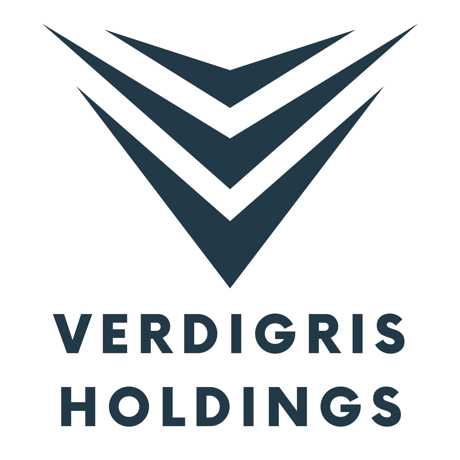 Verdigris Holding logo